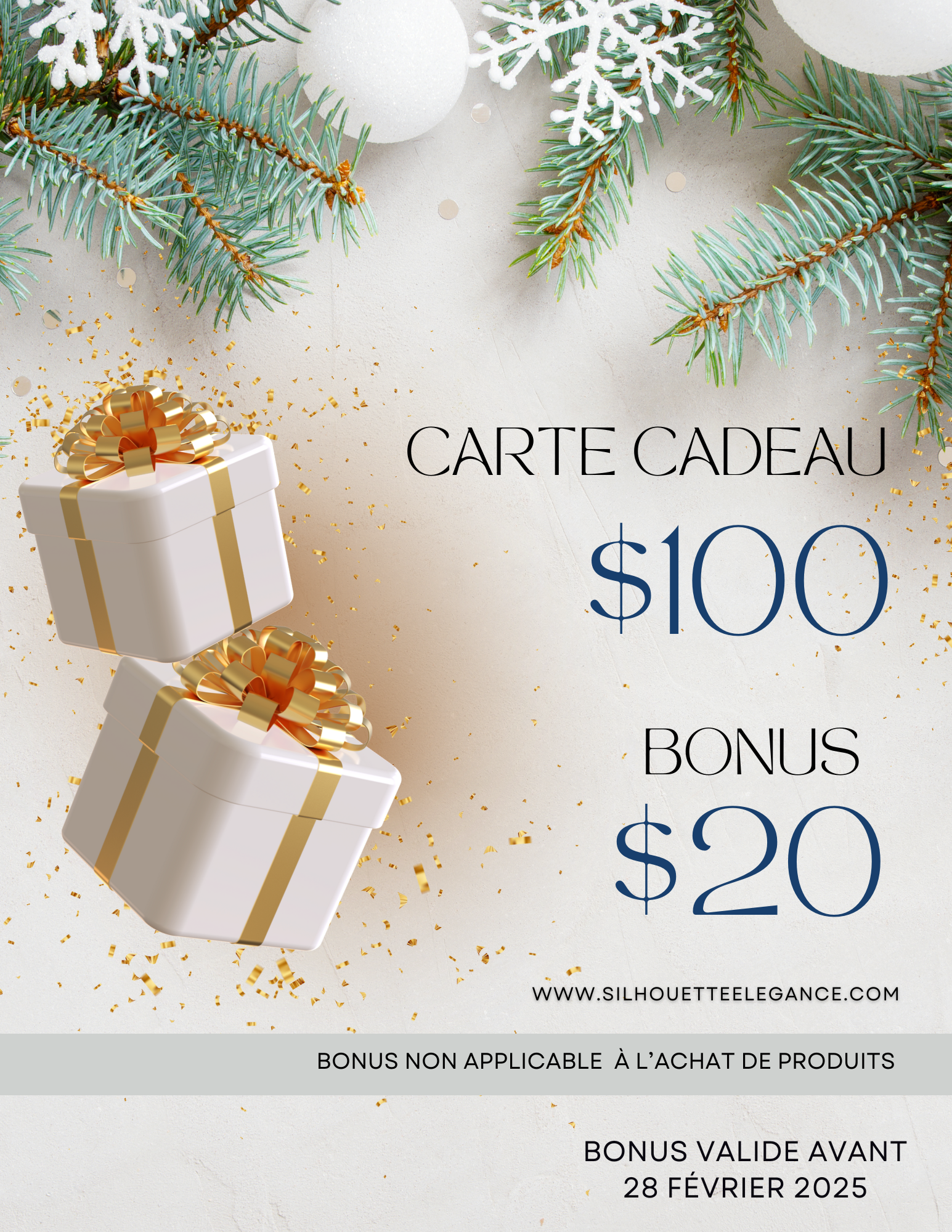 Carte Cadeau avec bonus